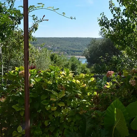 Mare Čižići